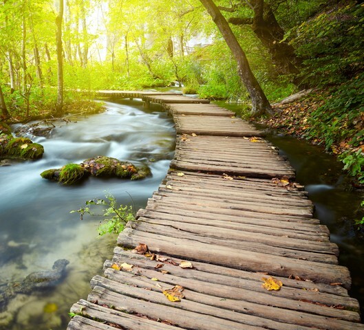 Boardwalk in the park